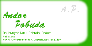 andor pobuda business card